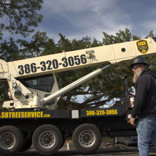 Your trusted neighbor for tree care during hurricane season in Volusia and Flagler