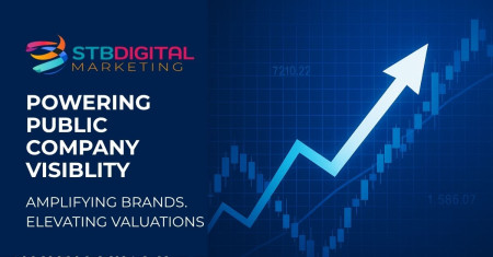 Simply The Best Digital - Powering Public Company Visibility