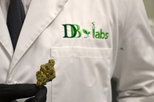 DB Labs of Las Vegas, Nevada