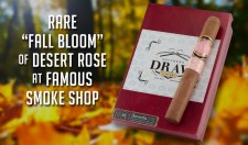Rare " Fall Bloom" of Desert Rose At Famous Smoke Shop