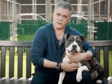 Actor Ray Liotta Encourages Pet Adoption