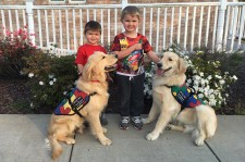 SDWR places pure bred golden and labrador retrievers and doodles on a required medical necessity for those living with invisible disabilities. 