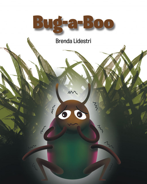 Author Brenda Lidestri's New Book 'Bug-a-Boo' is a Playful Story About a Bug's Long-Awaited Birthday Surprise