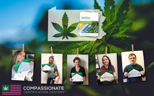 Compassionate Certification Centers, Affinity Bio Partners and AI Health Outcomes (CannaBot™) Announce the Final Results of Patient-Focused Medical Marijuana Research Study