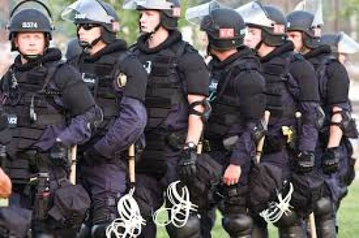 Riot Gear and Crowd Control Requests From Law Enforcement and Government Agencies