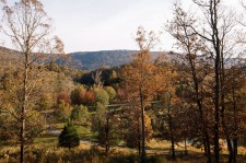 Johnson's Crook's protected landscape