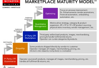 Condensed Marketplace Maturity Model