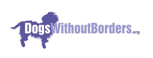 SilverLakeBlog Announces Partnership With Dogs Without Borders