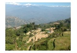 Himalayan Growing Fields