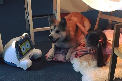 Peddy, the World's First Multi-Functional Robot for Pets, Launches on Kickstarter