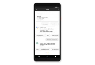 Chat via the Google Assistant