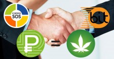 PerksCoin Closes Million Dollar Deal With First Bitcoin Capital Corp. Under Its Consortium of Cannabis Businesses