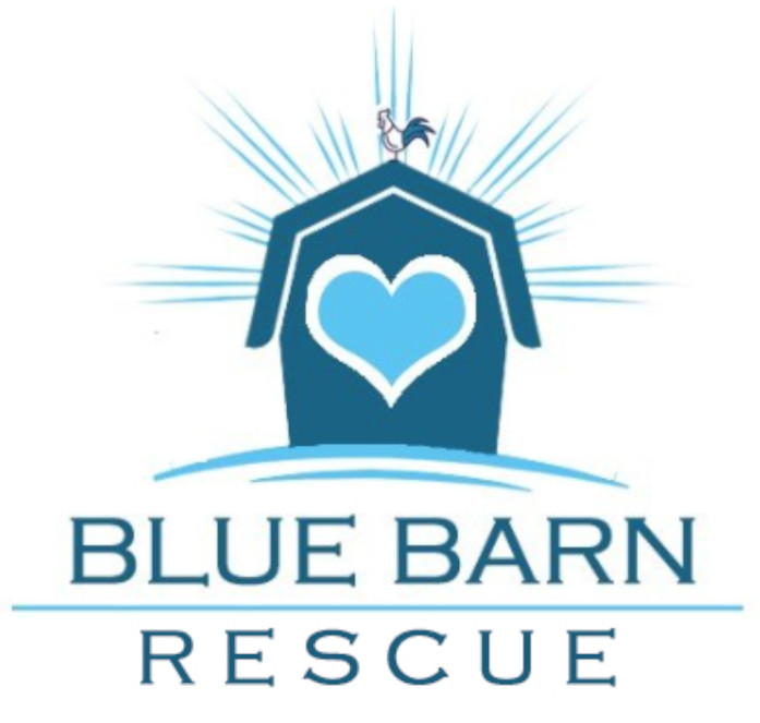 Blue Barn Rescue 