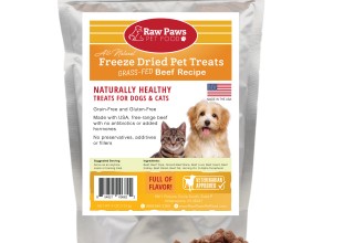 Raw Paws Freeze Dried Beef Treats for Dogs & Cats, 4 oz
