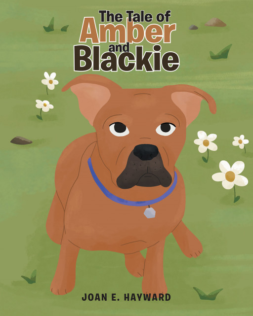 Author Joan E. Hayward's New Book 'The Tale of Amber and Blackie' is a Powerful Story of Making New Friends and Moving on After a Loved One Passes On