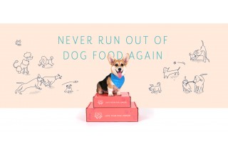 Never Run Out Of Dog Food Again!