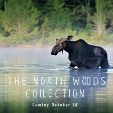 The North Woods Collection