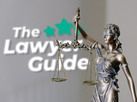 TheLawyerGuide.com Expands Its Legaltech Marketplace to the Netherlands