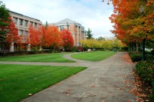 College Campus In Fall