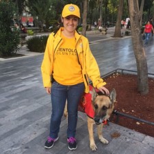 Zeus, the Los Topos search and rescue dog that rescued three people from the rubble of the Mexico earthquake