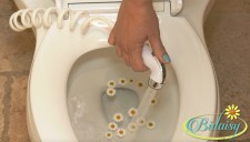 Bidaisy Handheld Bidet, Personal Hygiene, Feminine Cleansing Wash, Toilet Sprayer