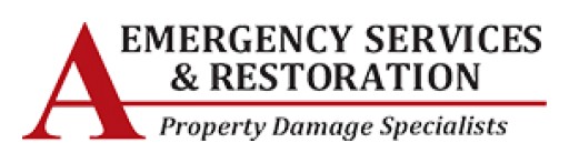 Professional Fire Damage Restoration Niles Makes It Simple to Start Afresh