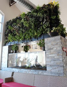 Living Wall