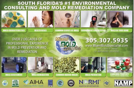 Miami Mold Specialists Launches Anti-AOB Insurance Claim Abuse Initiative