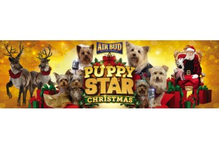Banner - Puppy Star Christmas