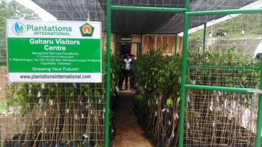 Plantations International Opens Agarwood Visitors Centre in Indonesia