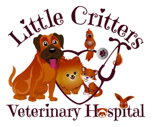 Announcing the Grand Opening of Little Critters Veterinary Hospital