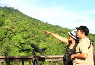 Birdwatching at Pico Bonito National Park