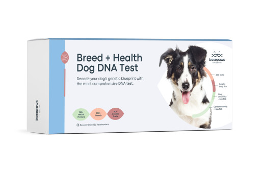 Basepaws Launches the Most Extensive DNA Test for Dogs, Focused on Health  and Early Detection of Disease Risk