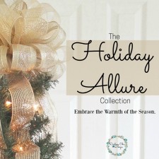 The Holiday Allure Collection