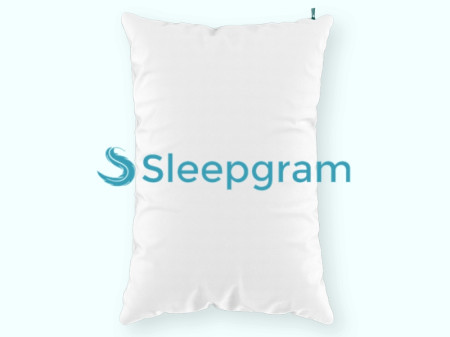 Sleepgram Pillow Review 2025