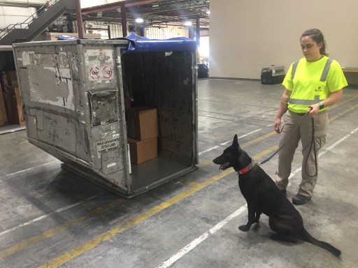 GK9PG is the First Company Certified by the TSA to Provide CCSF-K9 Services.