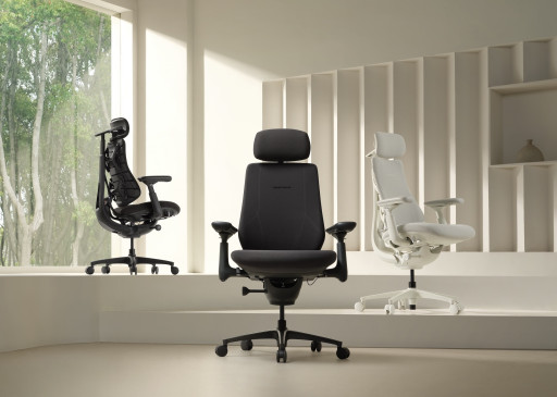 7 Days Left: LiberNovo Maxis, Big & Tall's Ultimate Seat