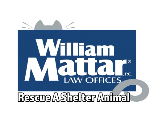 New York Car Accident Attorney William Mattar Hosts Pet Photo Contest During Rescue a Shelter Animal Campaign