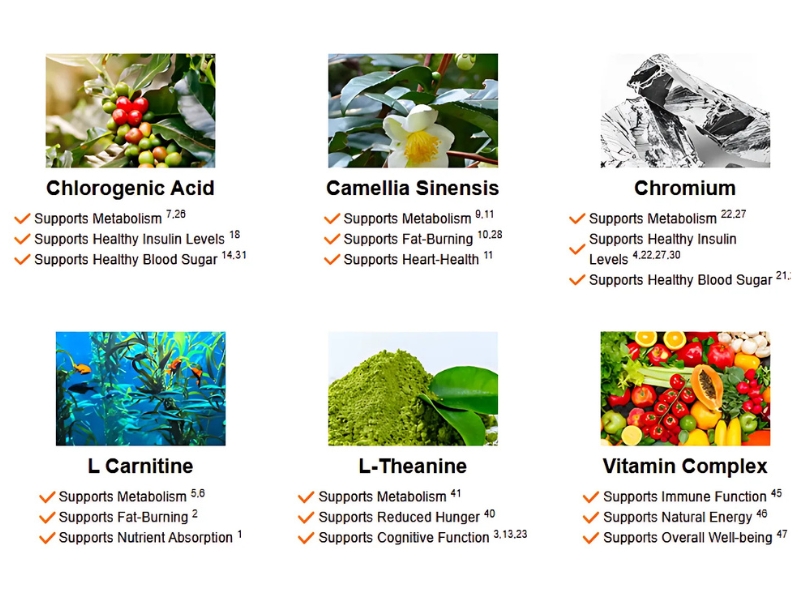 Java Burn Under Review: Revolutionary Coffee Add-On That Supercharges ...