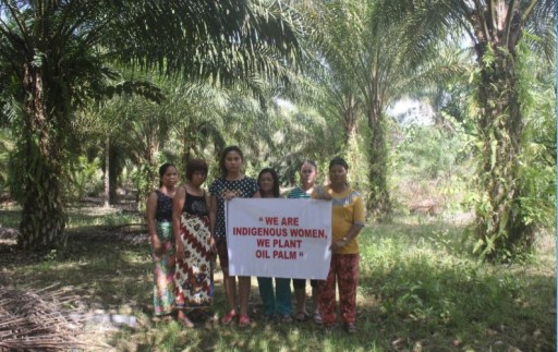 Indigenous Dayak Farmers Speak Out on Discrimination Against Palm Oil
