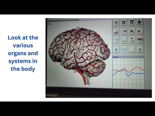 Julie's Experience with Scans and Targeted Energy at Regenesys Wellness Center
