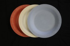 Red, White and Blue Chamness Biodegradables Plates