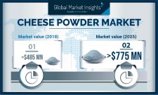 Cheese Powder Industry Projections - 2025 