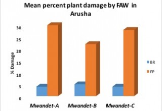 Plant Damage in Arush