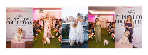 David's Bridal Launches 'the Puppy Love Collection by David's Bridal'; Debuts Dog Bridal Gowns at New York Bridal Fashion Week