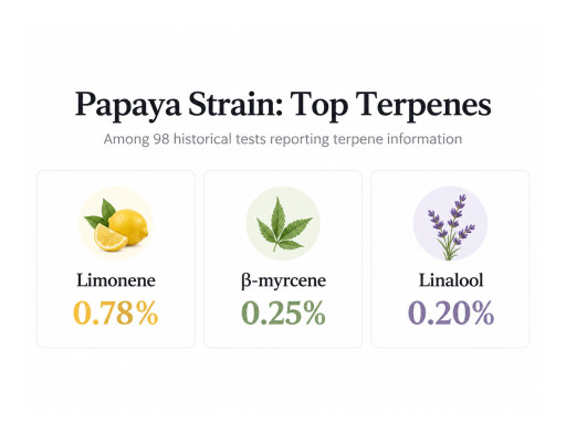 Papaya Strain Guide Clarifies Genealogy and Conflicting Pedigrees