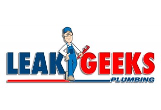 Leak Geeks 