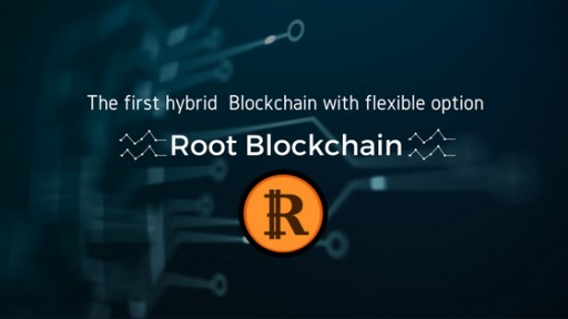Root Blockchain-the First Hybrid Blockchain With Flexible Option