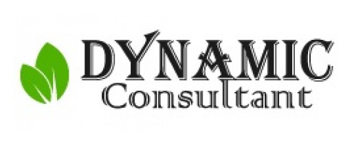 Contact Dynamic Consultant for Top Level SEO and Web Development Services