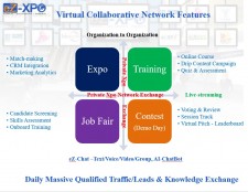 Virtual Collaborative Network Features 